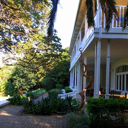 Coral Tree Colony Bed & Breakfast Southbroom Exterior photo