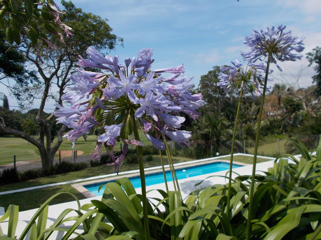 Coral Tree Colony Bed & Breakfast Bed & Breakfast Southbroom Exterior photo